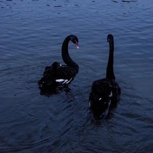 感谢你陪伴（prod by Lyoung）