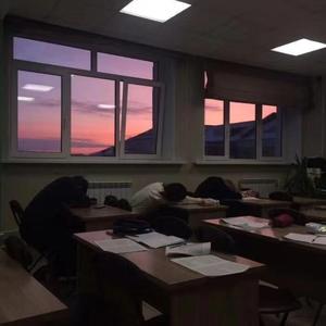 写给你的情歌
