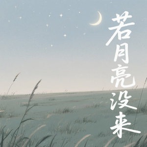 若是月亮没来（DJ版）