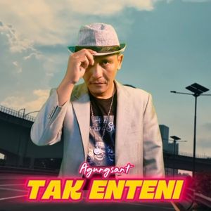TAK ENTENI