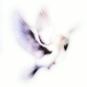 Doves