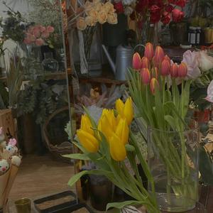 风吹过八千里(Cover 苏星婕)