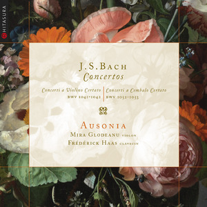Concerto pour violon in A Minor, BWV 1041:II. Andante