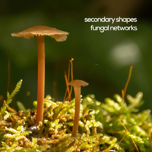 Interplant Communication