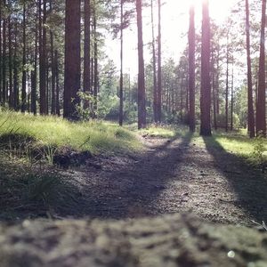 别认输天黑之后就是日出