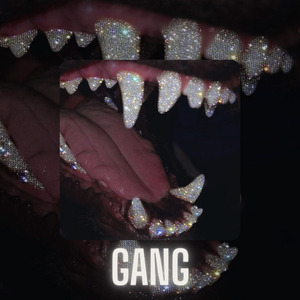 Gang