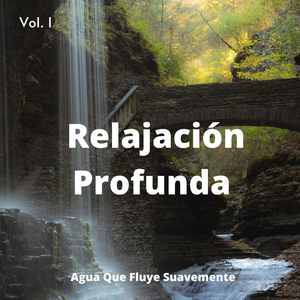 Terapia Mental Con Sonidos De Río