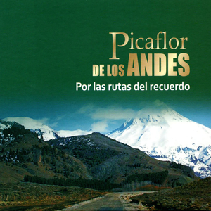 Tarma / La Oroya / Cerro de Pasco / Huánuco / Tingo María / Huancayo / Ayacucho / Andahuaylas / Abancay / Cuzco / Puno / Arequipa