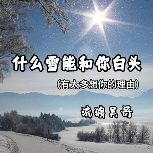 什么雪能和你白头(有太多想你的理由)