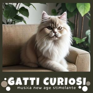 Calmi suoni