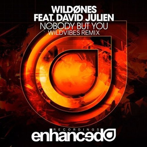 Nobody But You (WildVibes Remix)