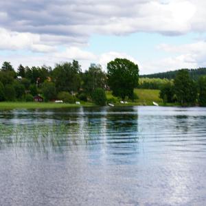 Som sommaren