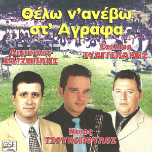 Εσείς πουλιά πετούμενα / Παναγιούλα