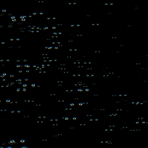 Att vara själv och inte ensam alls