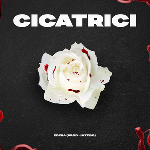 Cicatrici