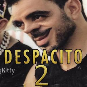 despacito（十孔口琴)g调五把位，a调三把位，lowD调一把位
