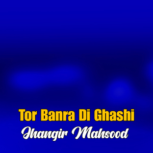 Pa Ziyar Mazhdigar Raghla