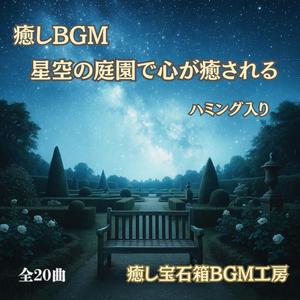 静かな音楽と夜空に咲く微光