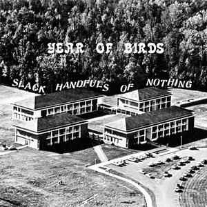 Scream Time in Congo