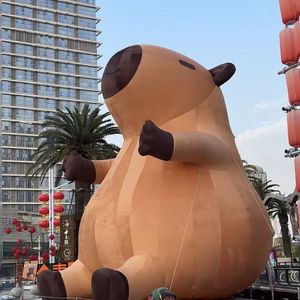 《温暖大提琴引领的梦幻之眠》