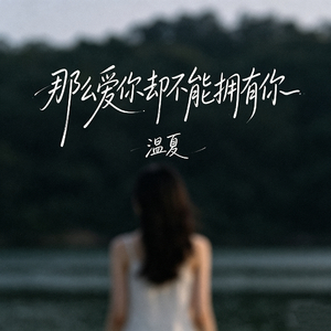 那么爱你却不能拥有你