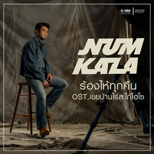 ร้องไห้ทุกคืน (เพลงประกอบละคร "เขยบ้านไร่สะใภ้ไฮโซ")