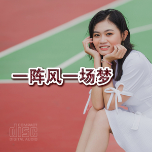 一阵风一场梦