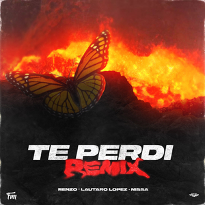 Te Perdi (Remix)