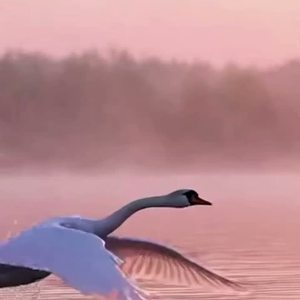 虹色【SQ+BQ】 by R2-E2