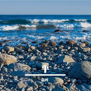 鲜艳的花朵怒放耀