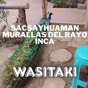 Sacsayhuaman (Murallas del Rayo Inca)