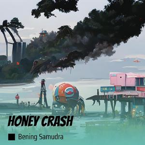 Honey Crash