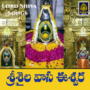 Srisaila Vasa Eeswara