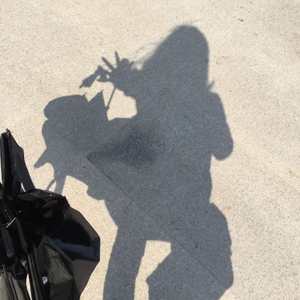 花谢（填翻）（Cover 丹青厌）