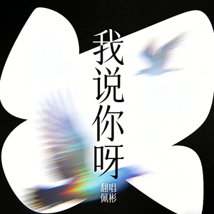我说你呀(治愈释怀男声版)