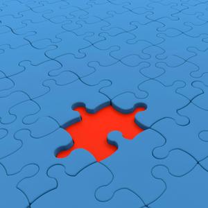 THE MISSING PIECE