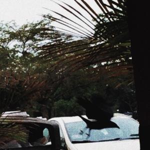 The Pistol Is Rather Filthy