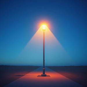 집으로 가는 길