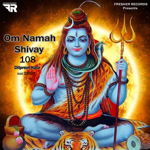 Om Namo Shivaye