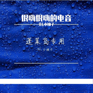 DJ.小姨子-弥渡山歌（瑶格格|DJ.小姨子Hard style ）