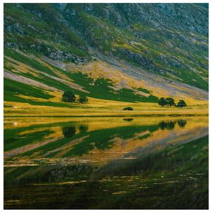 一张床两个温度