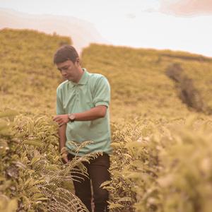 Petikan Sedih (Remastered 2015)