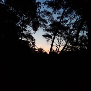 Omen (Released 190413)