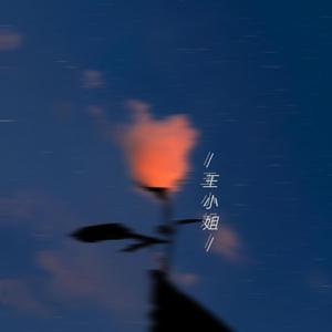 亲爱的王小姐（翻自 宋冬野）