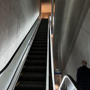 心之火 (谁的爱太疯 DJ)