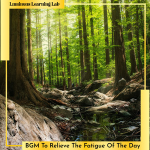 Flowing Through Life