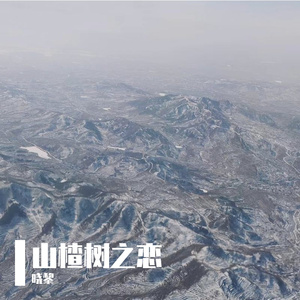 山楂树之恋