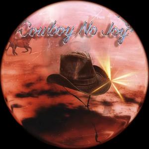 Cowboy No Joy