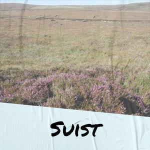 Suist