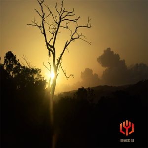 星夜的轻吟（舒缓治愈钢琴曲）